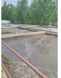 臨沂藍匯食品加工廢水處理項目